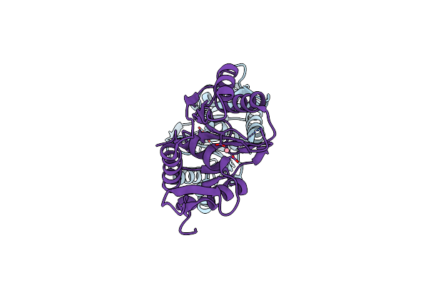 5M1O image