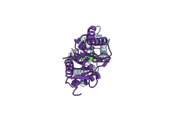 5M1P image