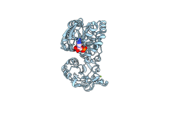 5M1R image