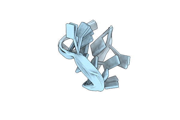 5M1W image