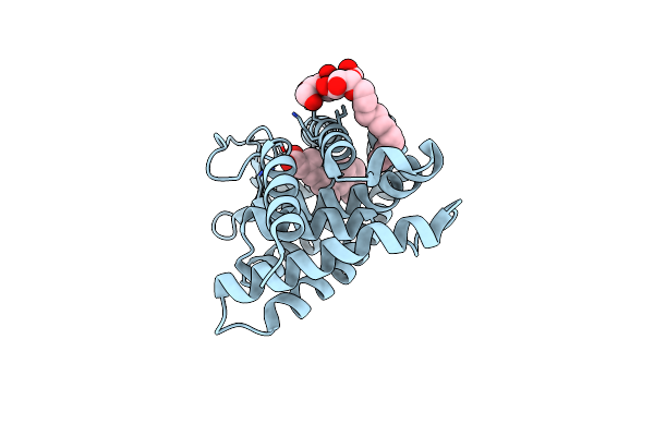 5M24 image