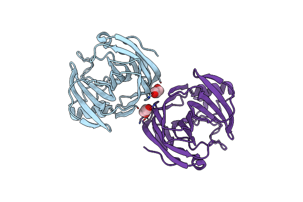 5M2D image
