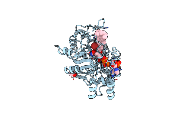 5M2F image