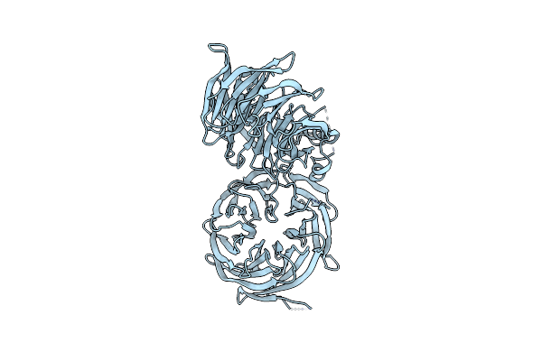 5M2N image