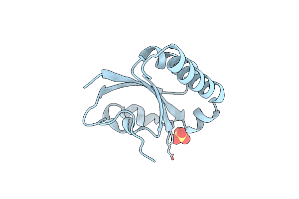 5M2P image