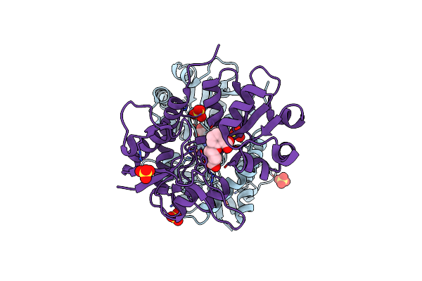 5M2V image