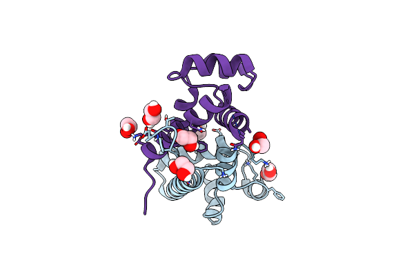 5M33 image
