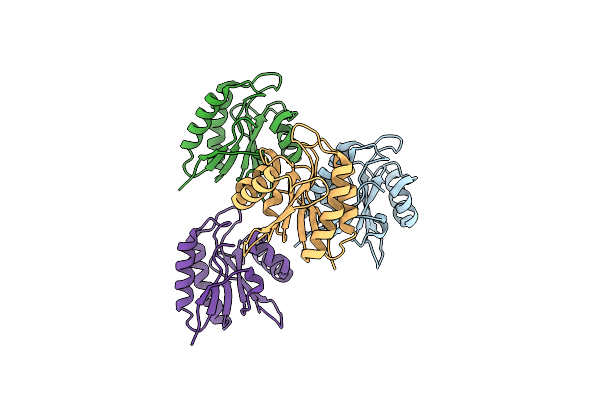 5M3I image