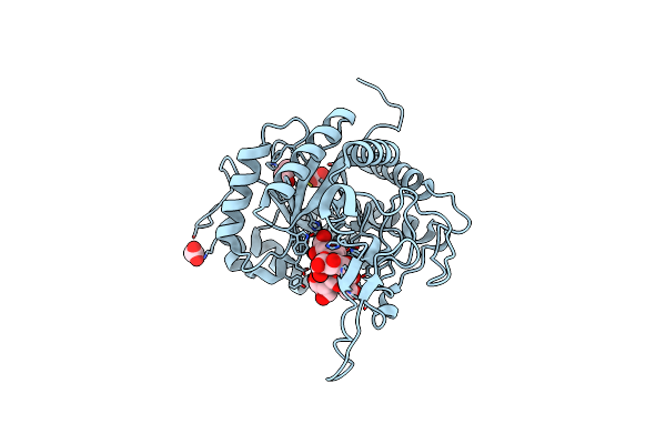 5M3W image