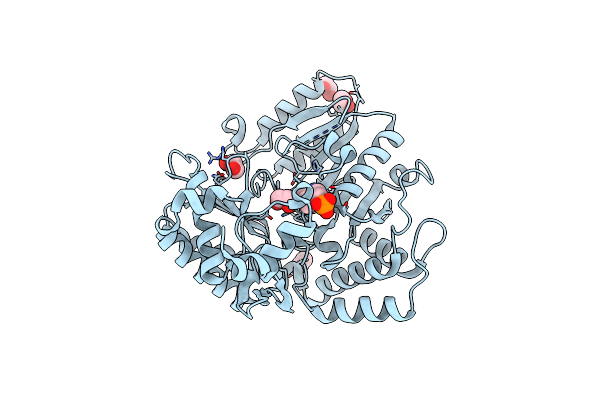 5M46 image
