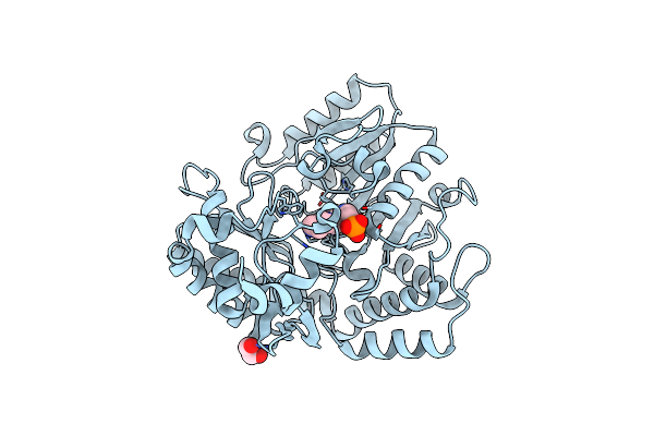 5M4B image