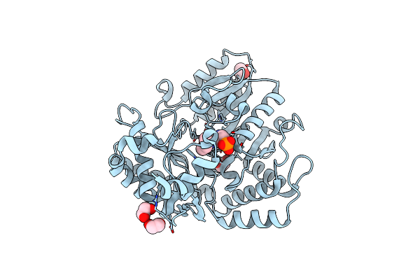 5M4D image