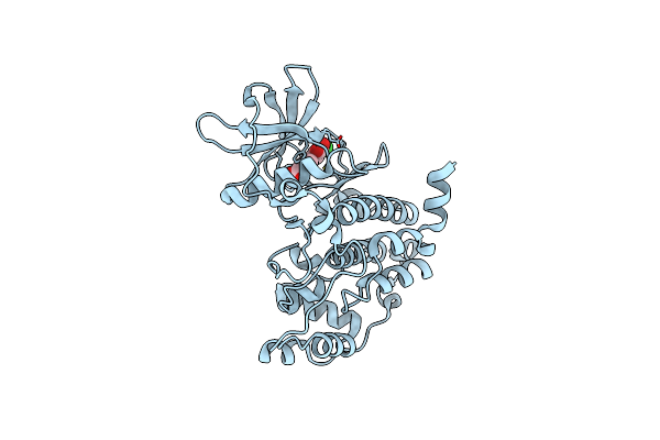 5M4I image