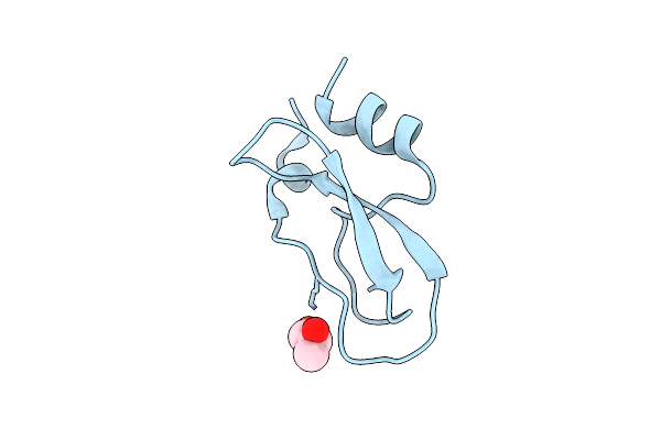 5M4V image
