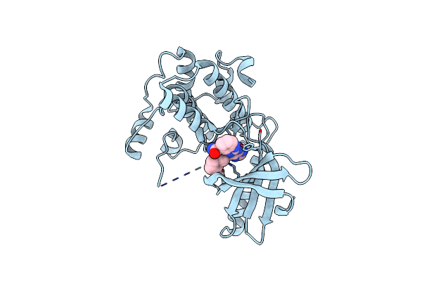 5M51 image