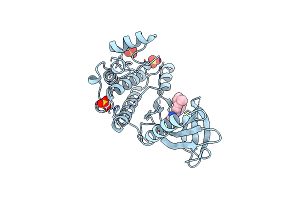 5M55 image
