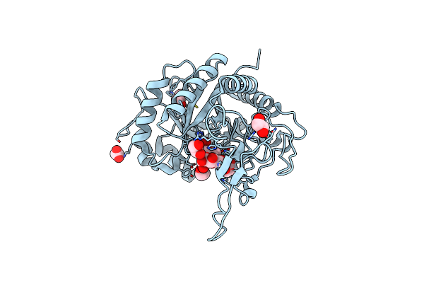 5M5D image