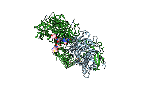 5M5G image
