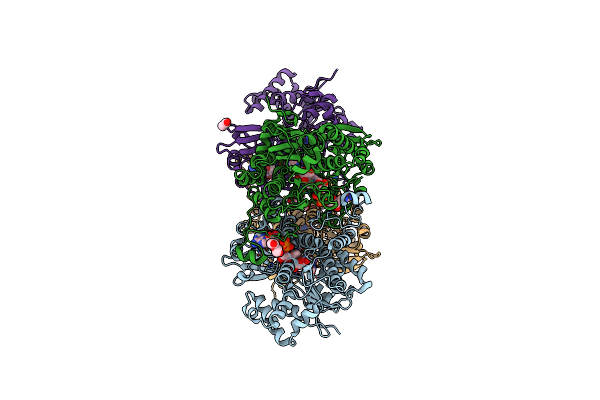 5M5K image