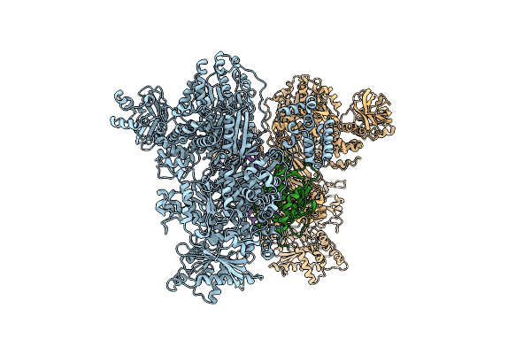 5M5P image