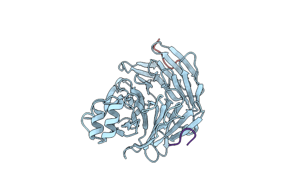 5M5R image