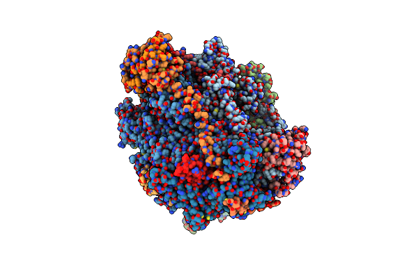 5M5Y image