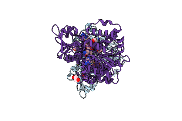 5M65 image