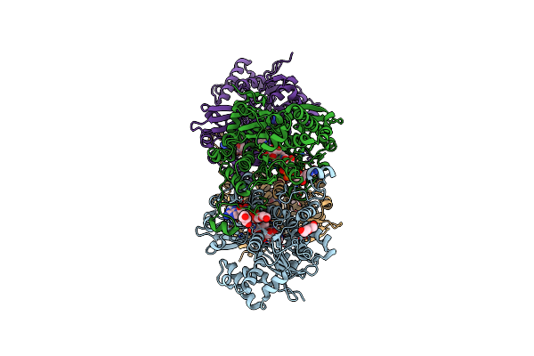 5M66 image