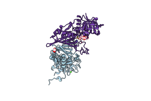 5M6D image