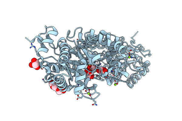 5M6G image