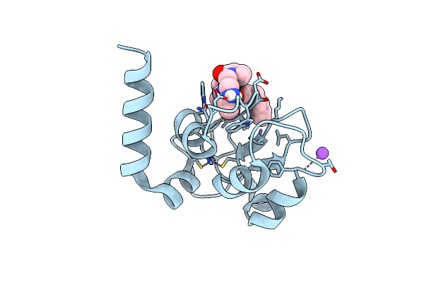 5M6M image