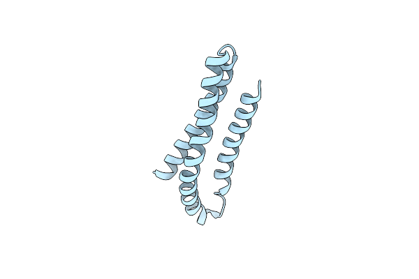 5M6S image