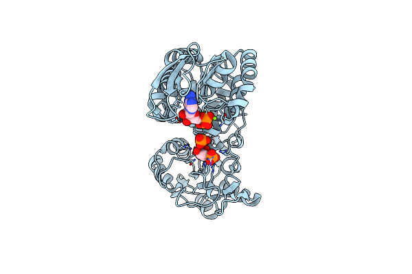 5M6Z image