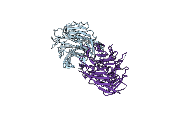5M8C image