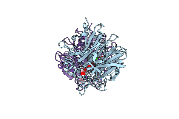 5M8E image