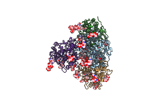 5M8P image