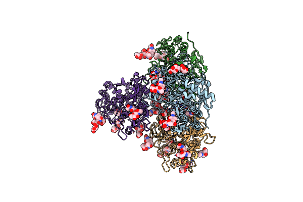 5M8T image