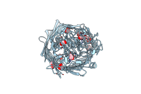 5M9B image