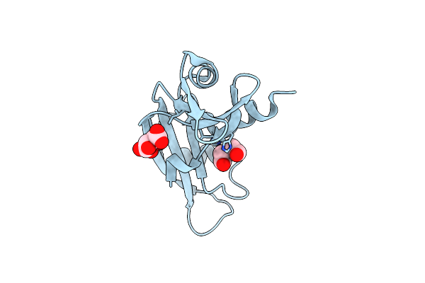 5M9G image