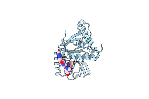 5M9O image