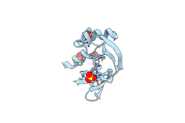 5M9P image