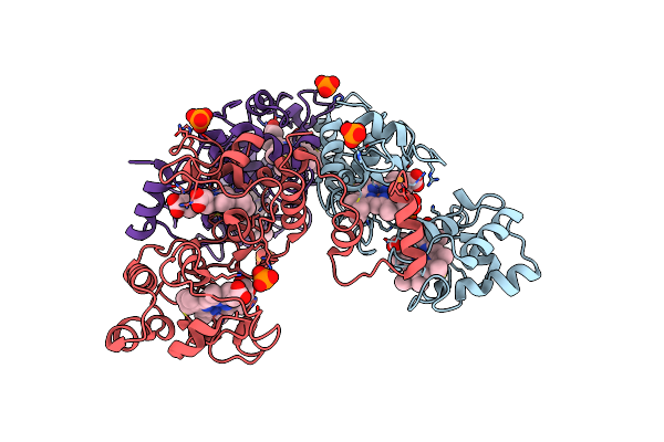 5MAB image