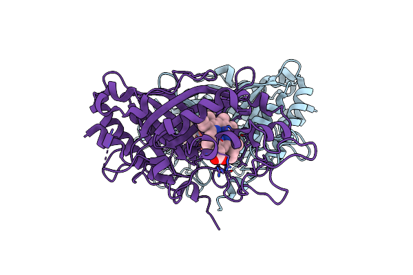 5MAP image