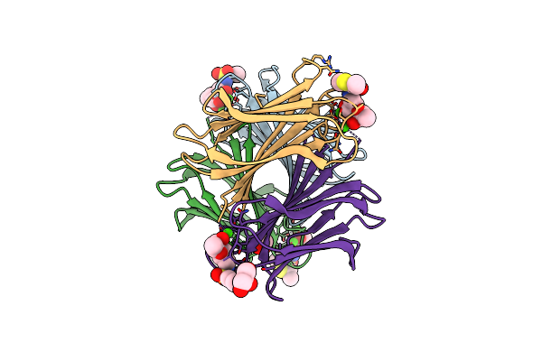 5MAZ image