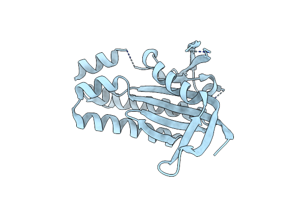 5MBG image