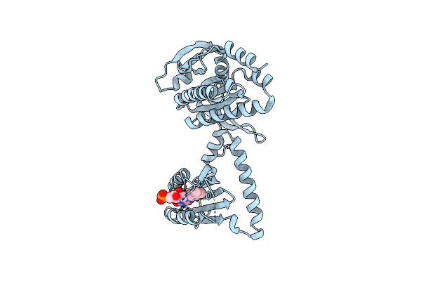 5MBH image