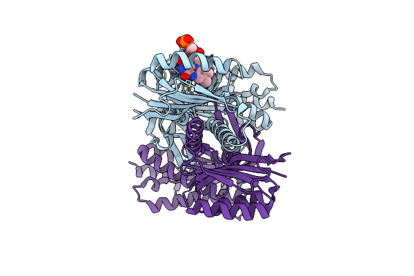 5MBJ image