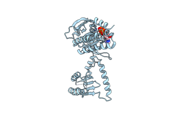 5MBK image