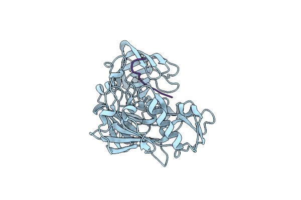 5MBW image