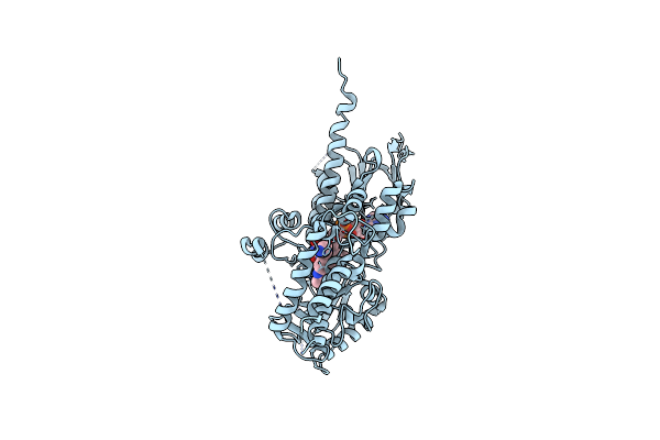 5MBX image